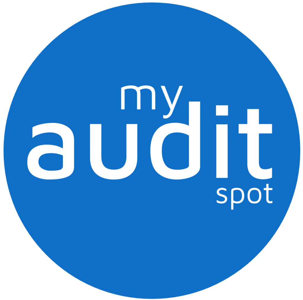 My Audit Spot Logo ISO Update