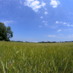ISO 14001 is an internationally recognized standard for environmental management systems (EMS).